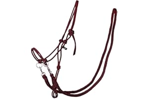 QHP Licol en Corde avec rêne