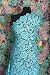 Produktbild G30 Aqua Blau Guipure-Spitze Bridal Spitze 120 cm wide-sold von 1/2 yard