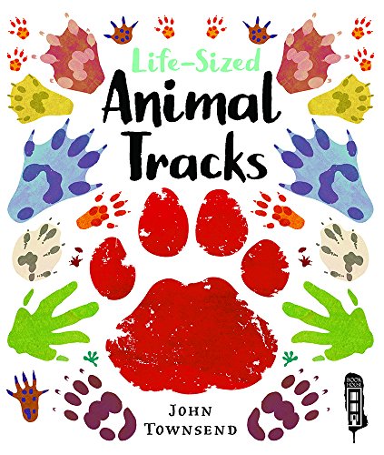 Life-Sized Animal Tracks