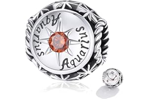 ZALIOAN Abalorio de Plata de Ley 925 para Pulsera Pandora Dijes Originales Charm