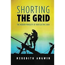 The Grid: The Fraying Wires Between Americans and Our Energy