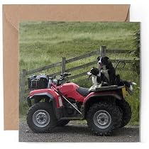 Grußkarte Mit Border Collie & Quad – Fotoeinsatz, Blanko Innen