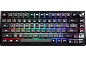 EPOMAKER TH80 SE Gasket 75% Mechanical Keyboard, NKRO Hot Swappable RGB Triple Mode Gaming Keyboard with Poron/EVA Foam, Knob Control for E-sport/Windows/Mac (Black Silver, Flamingo Switch)