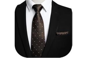 HISDERN Cravatta Uomo Elegante Formale Classico a Quadri Tinta Unita Cravatte e Fazzoletto da Taschino Uomo per Sposa Matrimonio Festa Lavoro