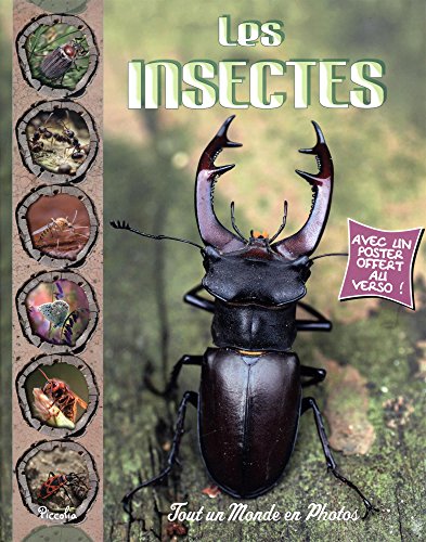 <a href="/node/33285">Les insectes</a>