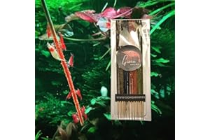 GIOIA SHRIMP Lot de 12 Lollies Mixtes Original pour crevettes d'aquarium/Alimentation pour crevette d'aquarium