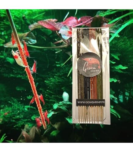 Feuilles De Dadap ARKA MySCAPE - 7-13 Cm, Lot De 10, Nourriture Naturelle Pour Crevettes Et Escargots D'aquarium