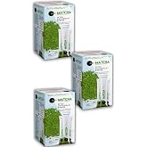 Matcha Premium Japanese Toz Ma&ccedil;a &Ccedil;ayı 20 x 10 G - 3 Adet