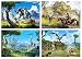 Produktbild 4 Horizon Zero Dawn Posters