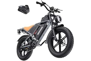 DEEPOWER QS7 Bicicletta Elettrica Per Adulti, 20"×4.0 Pneumatici Fat E-Bike Con 48V 20/35/60Ah Batteria Rimovibile, 25 KM/H, 160-250KM Autonomia, 7 Marce, Sospensione Idraulica Completa