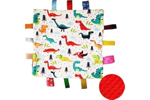 Eyands Baby Tag Blanket, Cotton and Plush Soft Taggy Blanket with Tags, NO Crinkle Sound Lovely Label