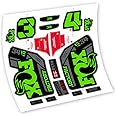 Fox 34 Factory E-Bike Stickers 2021 Vinyl Fork Stickers (AG - Apple Green)