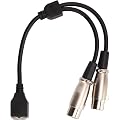 Ausla GeneralCable Câble Double XLR 3 Broches Femelle vers RJ45 25 Cm Adaptateur de Signal en Plastique et Métal pour éclairage de Scène DMX et Transmission Audio de Console de Mixage