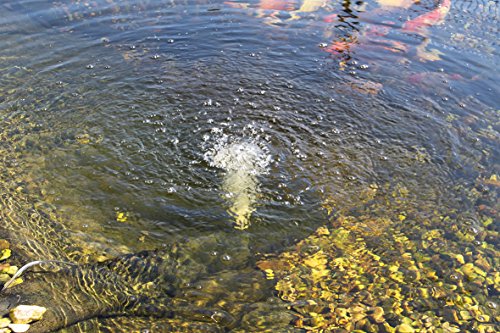 Solar Teichbelüfter 25W Solarmodul 5 x 120l/h Luftleistung 600l/h gesamt Gartenteich Sauerstoffpumpe esotec pro Komplettset 101076 - 4