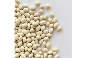 IL CONTADINO - ANTICHI SAPORI FAGIOLI COCCO | Il Contadino | Legumi Secchi (5 Kg)