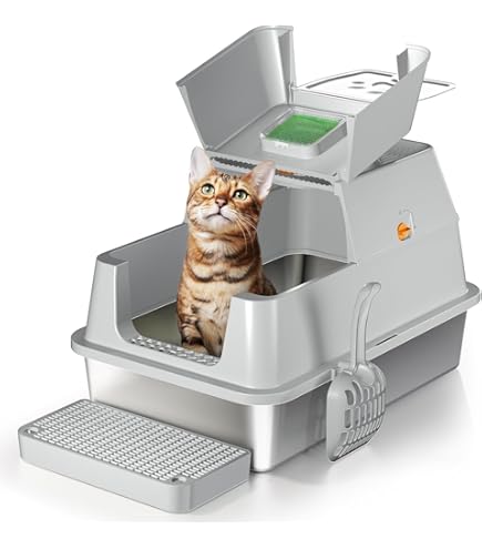 Navaris Verhoogde Voerbakset Met Standaard - 2 Keramische Voerbakken Met Bamboe Houder Dubbele Kattenvoerbak Antislip