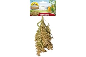 JR FARM Birds Millet panicule 100 g