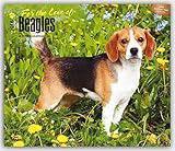 Beagles - For the Love of 2016 - 18-Monatskalender mit freier DogDays-App: Original BrownTrout-Kalender - Deluxe [Mehrsprachig] [Kalender] (Deluxe-Kalender) by 