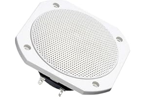 BEST PRICE SQUARE Visaton 2103 Lautsprecher FRS 10 WP 8 Ohm weiß, 8 S