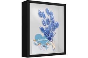 CHSTARINA Marcos con Profundidad, 22x27cm Marcos para Cuadros 3D,Marco de Madera Profundo para Mesa Pared, Marco de Foto de Caja de Sombra 3D,Cuadros Vitrina para Medalla,Flor,Recuerdo, Manualidades,Negro (5cm)