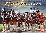  Pferdekutschen - Vorgänger des Automobils (Wandkalender 2016 DIN A2 quer): Kutschen, früher Statussymbol und das Reisefahrzeug schlechthin. (Geburtstagskalender, 14 Seiten) (CALVENDO Tiere)
