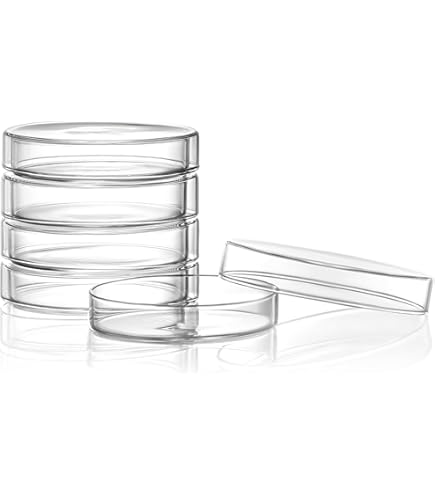 DWK Life Sciences Duran Steriplan Petrischale 100 X 20 Mm – Kalksoda-Glas Mit Deckel – 10 Stück – Für Labor & Mikrobiologie