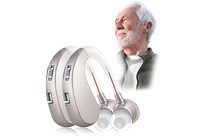 Britzgo Appareil rechargeable, conception derrière l'oreille, 7g，40 heures d'autonomie, suppression du bruit, livret d'instructions en français inclus (1204-argent-double)