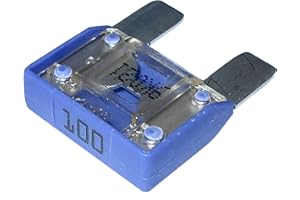 AERZETIX - C10280 - Sicherung - Groß - Lila - Maxi - 100A - 6V - 12V - 24V - 32V - 29mm - für Auto - LKW - Dienstprogramm