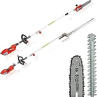 Grizzly Elektro-Multigerät KSHS 900 2in1 - Hochentaster und Heckenschere mit 2-tlg. Alu-Stiel - wechselbarer Schneidkopf
