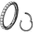 BLESSMYLOVE Clear CZ Nose Rings Hoop 316L Surgical Steel Cartilage Earrings Conch Daith Helix Rook Tragus Lobe Snug Body Piercing Jewelry 20G 18G 16G Stainless Steel Hinged Segment Rings Lip Rings