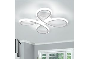 EIDISUNY Modern LED Ceiling Light, 30W White Curved Creative Modern Ceiling Lights Fixture LED for Living Room Bedroom Corridor Aisle Hallway Indoor Office Kitchen Lamp - Cool White Light 6000K