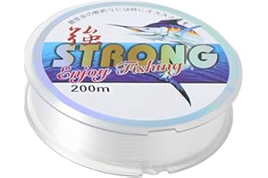 KINDOYO 200 m Fishing Line Transparent - 0.4 mm Wear-Resistant Nylon Fishing Wire 6.0 Spool Invisible Fishing Lines Fishing Tendon for Fishing Hanging Decorations Crafts