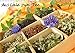 Aus Liebe zum Tee (Wandkalender 2017 DIN A3 quer): Ein Teekalender als Begleiter durchs Jahr (Monatskalender, 14 Seiten ) (CALVENDO Lifestyle) by 