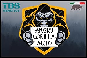 TBS GENETICS Angry Gorilla Auto - 3+1 Pack + Fertilizer Gift