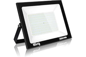 Blivrig Focos LED Exterior,100W Foco LED,IP66 resistente al agua, 10000LM Super brillante Foco LED Exterior,Foco Proyector LED，Usado para Jardín,Garaje,Hotel,Patio,Parking,etc.(Blanco frio,100W)