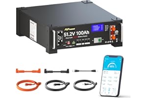 PUPVWMHB Batteria al litio LiFePO4 da 48 V, 100 Ah, integrata BMS, batteria Server Rack con Bluetooth, potenza di uscita max. 5,12 KW, oltre 5000 cicli, perfetta per impianti solari e applicazioni