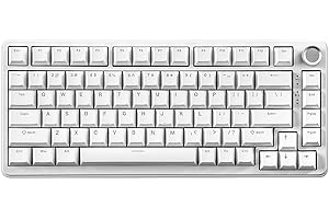 YUNZII B75 Tastiera meccanica, tastiera sostituibile a caldo al 75% con manopola, tastiera da gioco a guarnizione retroilluminata RGB,per WIN/MAC (bianco, blue grey tactile)