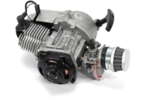NIGORIY Pocket Bike Motor, 2 Takt Motor 1.9kw/7000rpm, 3PS Mini Motor, 49cc Pocket-Bike-Motor 2.7N.M, Dirtbike Motor 44mm Zylinder-Durchmesser, 49ccm Motor mit 1.2L Kraftstofftank Kapazität