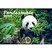 Produktbild Pandazauber · DIN A4 · Premium Kalender 2019 · Panda · Bären · Riesenpanda · Wald · Natur · Tier · Wildnis · Edition Seelenzauber