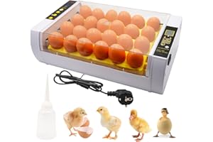 BREUAILY Brutautomat Vollautomatisch 24 Eier Inkubator HüHner mit LED -Eierlicht und Automatisches Temperaturregelungs Brutmaschine Wachteleier Brutkasten HüHner