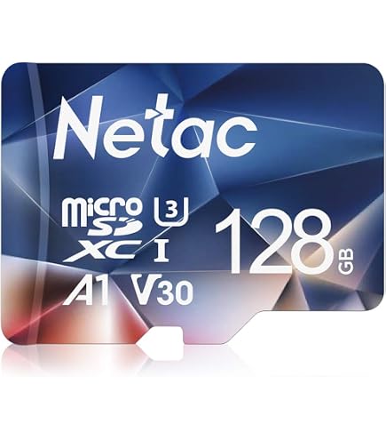 2 Pack Scheda di Memoria 64GB con Adattatore, Classe 10 UHS-I A1