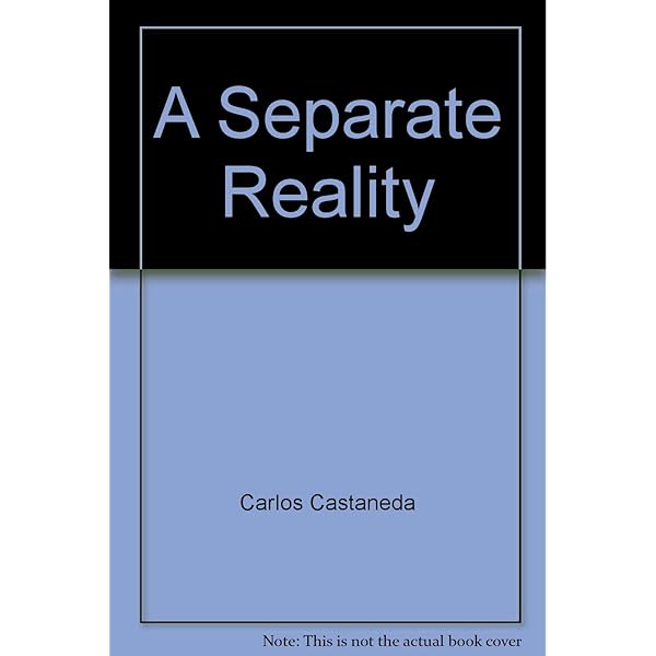 洋書　A Separate Reality Carlos Castaneda A Separate Reality: Carlos Castaneda: 0671732498