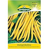 Stangenbohne, Neckargold