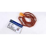 Aadit Crreation Original Lab Certified Rudraksh Mala (7mm)
