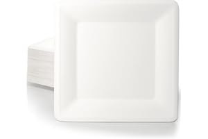 wisefood Zuckerrohr Teller - 100 Stück Bagasse Einwegteller quadratisch 20cm - Einmal Pappteller ideal als Partyteller oder Speiseteller - Nachhaltiges Zuckerrohr Geschirr ohne PLA/PE