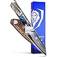 Dalstrong Valhalla Series High Carbon 9CR18MOV Steel Paring Kitchen Knife with Celestial Resin & Wood Handle, 4 Inches, Leather Sheath Included