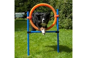 PROCYON Dog Agility Sprungring