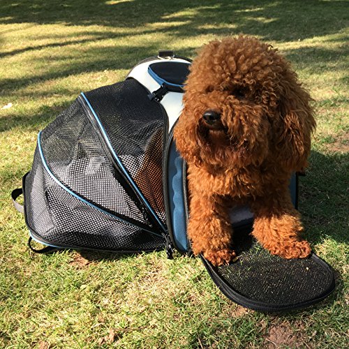 Becko-Expandable-Foldable-Pet-Carrier-Travel-Handbag-with-Padding-and-Extension