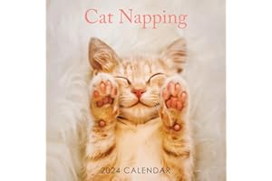 ROCHLI 2024 Cat Napping 12" x 12" Square Hanging Wall Calendar with Stunning Photography - No Plastic. Daily, Weekly, Monthly 12 Month Planner, Calendar, Organiser. Cute Cats, Kittens, Napping, Sleeping