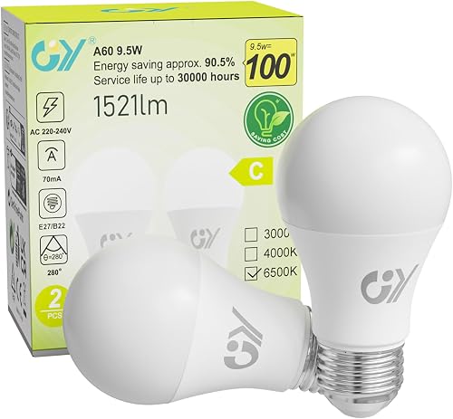 GY Bombillas Led E27 Luz Fría 6500K - 9,5W Equivalente a 100W - 1521 Lúmenes, No Regulable - A60 Bombilla Led Esférica Caja d